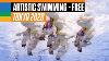 Artistic Swimming Team Free Routine Roc Tokyo 2020 Replays